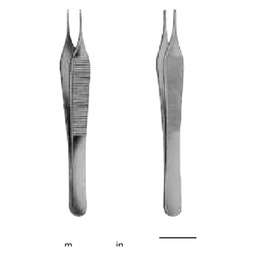 PINZA ADSON 15CM C/D