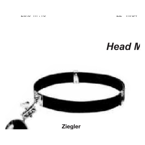 ESPEJO FRONTAL ZIEGLER