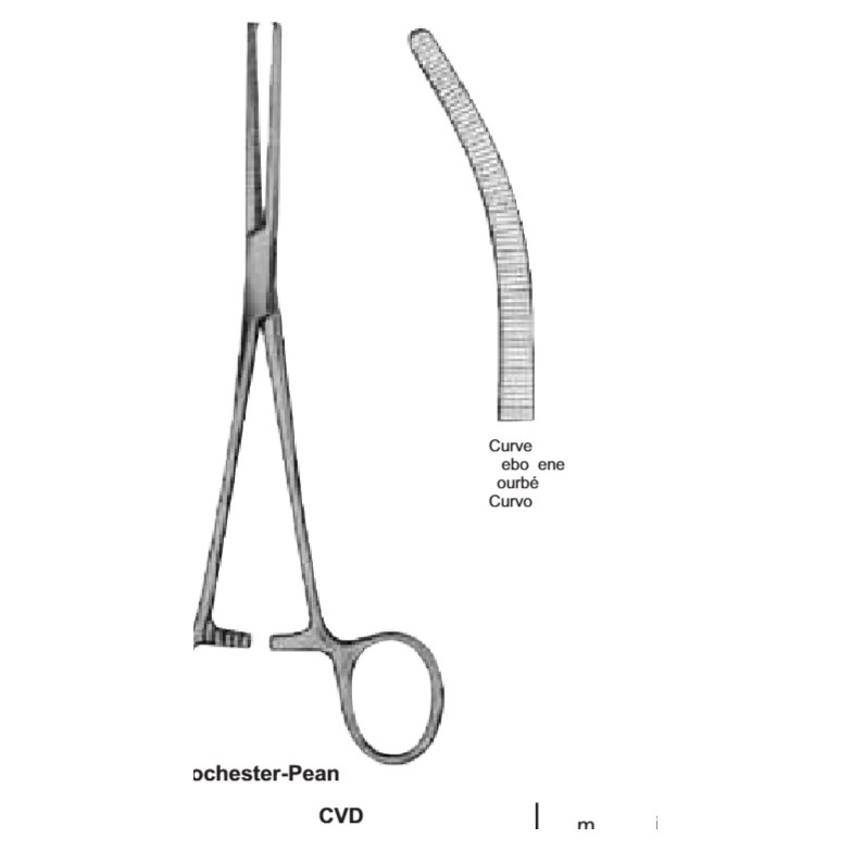 PINZA ROCHESTER PEAN 16CM CURVA